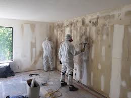 Best Environmental Consulting for Mold Prevention  in USA